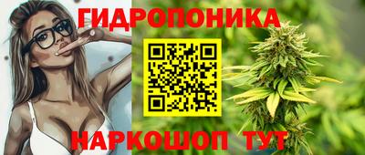 эйфоретик Обь
