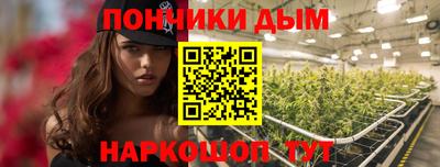 эйфоретик Обь